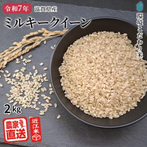 ミルキークイーン 玄米 10kg 2025年産 米 令和7年 お米 農家直送 近江