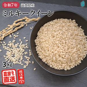 ミルキークイーン 白米 3kg 2025年産 米 令和7年 お米 農家直送 近江米
