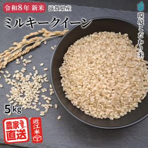 ミルキークイーン 10kg 令和8年度 農家直送 お米（精米後、9.0kg程度