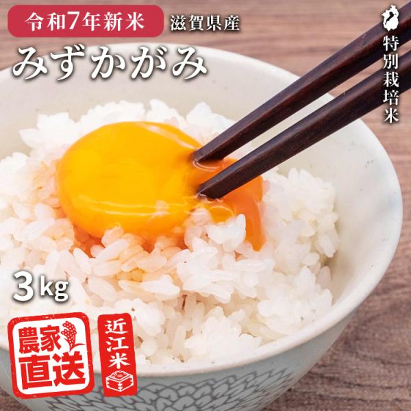 滋賀県ご当地モール500円OFFクーポン 2025年産新米 |  みずかがみ 白米 3kg 2025...