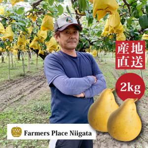 ルレクチェ 洋梨 良品 2kg (5〜6玉) 生産者・青柳果樹園
