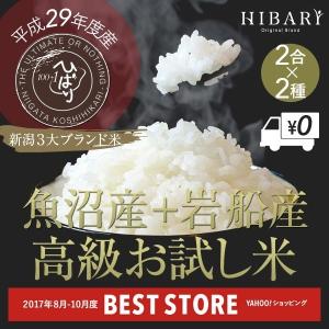 非 米 お試し米 ポイント消化  新潟3大ブランド米 送料無料 コシヒカリ お米 選べるぶつき 2合2種 魚沼産 岩船産こしひかり 29年産