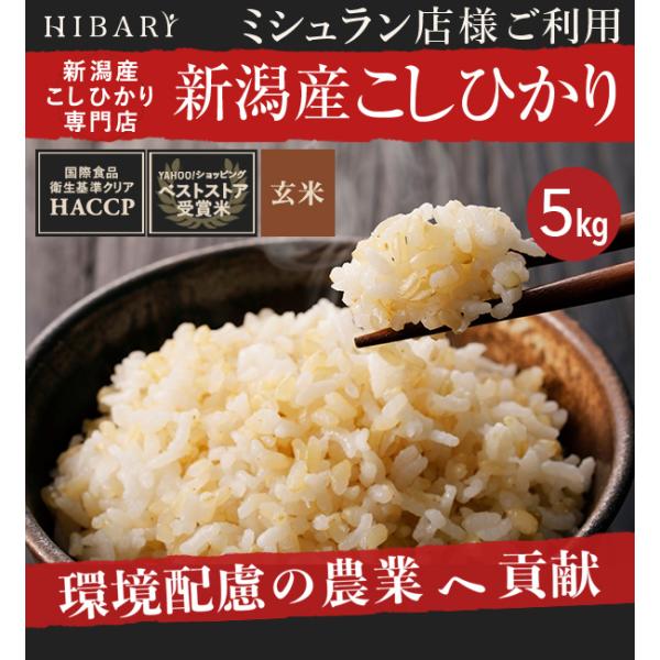 新米 米 玄米 5kg 令和5年産 新潟県産コシヒカリ HIBARI ミシュラン店様御用達 【品質管...