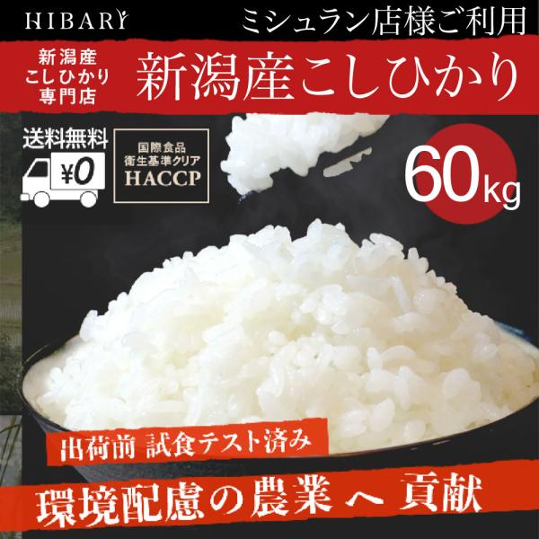 米 白米 60kg 令和5年産 新潟県産コシヒカリ HIBARI 5kg×12袋 ミシュラン店様御用...