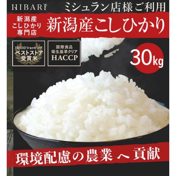 米 白米 30kg 令和6年産 新潟県産コシヒカリ HIBARI 5kg×6袋 ミシュラン店様御用達...