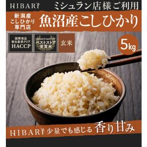 米 玄米 5kg 令和5年産 魚沼産コシヒカリ HIBARI ミシュラン店様御用達 【品質管理徹底】 米 お米 コシヒカリ 産地直送 産直