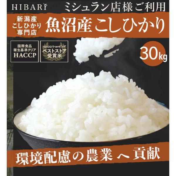米 白米 30kg 令和6年産 魚沼産コシヒカリ HIBARI 5kg×6袋 環境に配慮したプレミア...