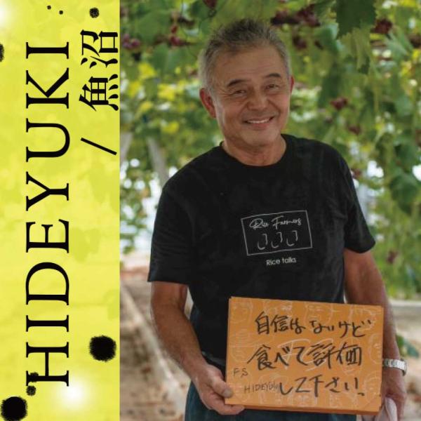 【HIDEYUKI】有機栽培 白米 お米 新潟産/魚沼産こしひかり 食べ切り 3合×2袋  お米 フ...