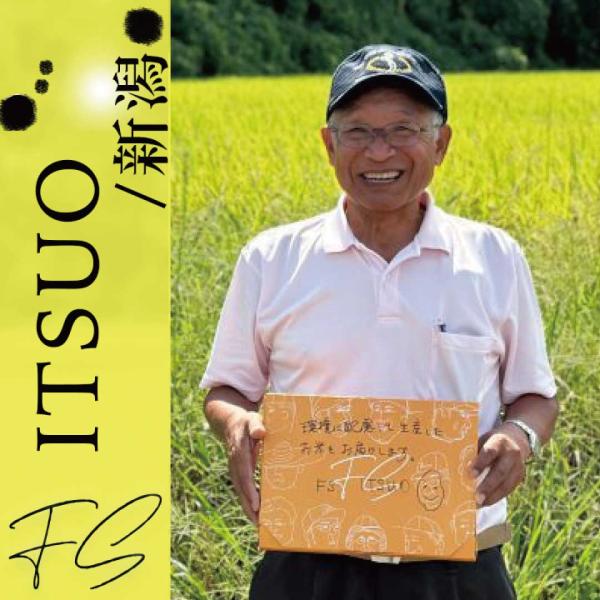 【ITSUO】有機栽培 白米 お米 新潟産/魚沼産こしひかり 食べ切り 3合×2袋  お米 ファーマ...