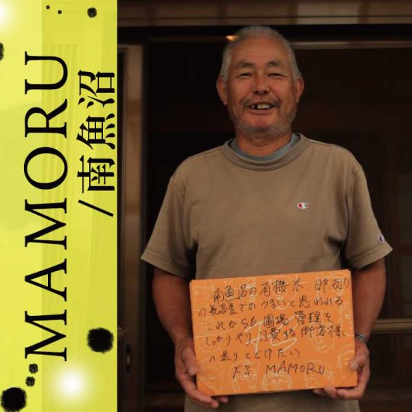 【MAMORU】有機栽培 白米 お米 新潟産/魚沼産こしひかり 食べ切り 3合×2袋  お米 ファー...