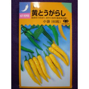 種子処分　黄とうがらし　中原採種場　22.10　◎青・黄熟果ともに辛味が強い♪　（ゆうパケット便可能）