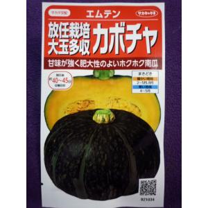 かぼちゃ 放任栽培の商品一覧 通販 Yahoo ショッピング