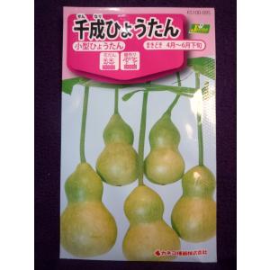 ★種子★処分★　千成ひょうたん　小型ひょうたん　カネコ種苗　23.11　◎小型で掌に収まる位の可愛らしい小兵丹♪　（ゆうパケット便可能）｜farmmikawa