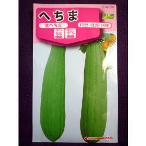 ★種子★処分★　へちま　太へちま　カネコ種苗　23.11　◎果実は食用に、繊維はスポンジとして利用♪　（ゆうパケット便可能）｜farmmikawa