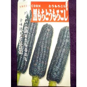 もちとうもろこし 種の商品一覧 通販 Yahoo ショッピング
