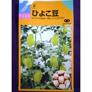 ★種子★処分★　ひよこ豆　５０ｍｌ　中原採種場　23.05　◎乾燥期に育てるとうまくいきます♪　（ゆうパケット２ｃｍ以下便可能）｜farmmikawa