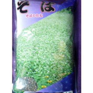 種子　そば（信濃１号）　秋そば　１ｋｇ　中原採種場　23.03　◎風味最高！花は白く美しい♪　（レターパックプラス便可能）