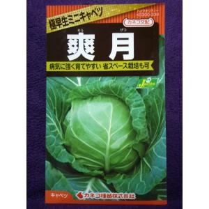 ミニキャベツ種 種 種子 の商品一覧 花 ガーデニング 通販 Yahoo ショッピング