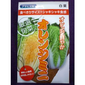 オレンジ白菜の種の商品一覧 通販 Yahoo ショッピング