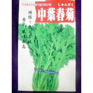 ★種子★　中葉春菊　シュンギク　１Ｌ　アサヒ農園　最新　◎摘み取って収穫するタイプ♪　（レターパックプラス便可能）｜farmmikawa