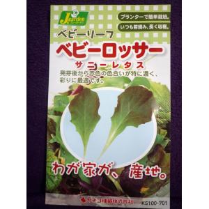 ★ベビーリーフ種子★処分★　ベビーロッサー　サニーレタス　カネコ種苗　23.10　◎赤色の色合いが濃く、彩りに最適♪　（ゆうパケット便可能）｜farmmikawa