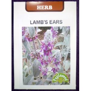 チョロギ 種 種子 の商品一覧 花 ガーデニング 通販 Yahoo ショッピング