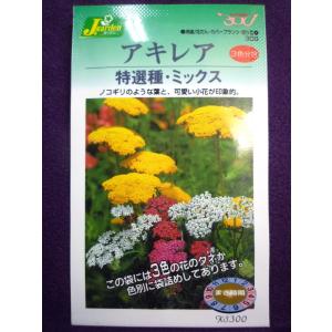 ★種子★処分★　アキレア　３色分包　特選種・ミックス　カネコ種苗　23.07　◎カバープランツやロックガーデンに♪　（ゆうパケット便可能）｜farmmikawa