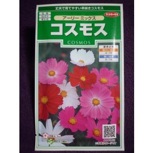 ★種子★処分★　コスモス　アーリー ミックス　サカタのタネ　23.10　◎丈夫で育てやすい早咲きコスモス♪　（ゆうパケット便可能）｜farmmikawa