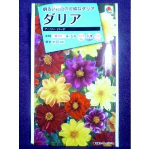 種 種子 花種類 ダリア 花 ガーデニング 通販 Yahoo ショッピング