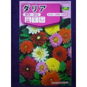 ダリア 種の商品一覧 通販 Yahoo ショッピング