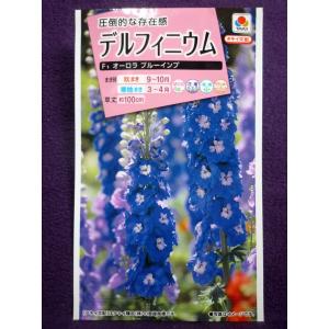 デルフィニウムf1オーロラ 花 ガーデニング の商品一覧 通販 Yahoo ショッピング