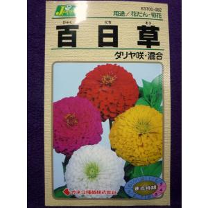 ダリアの品種 花の種 の商品一覧 種 種子 花 ガーデニング 通販 Yahoo ショッピング