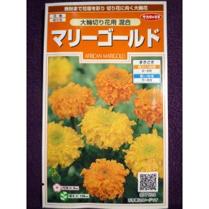マリーゴールド 切り花用 種 種子 の商品一覧 花 ガーデニング 通販 Yahoo ショッピング