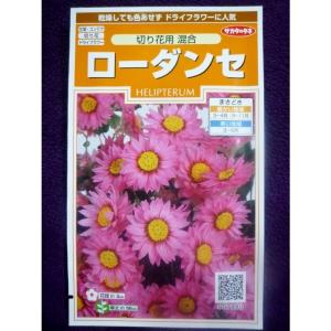 切り花用 種 花の種 の商品一覧 種 種子 花 ガーデニング 通販 Yahoo ショッピング