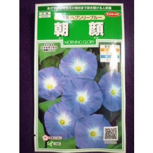 西洋朝顔の種の商品一覧 通販 Yahoo ショッピング