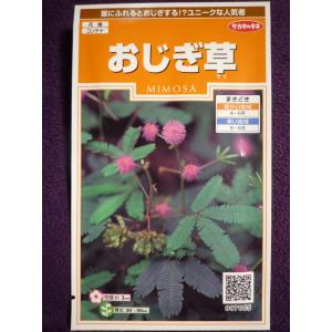 おじぎ草の商品一覧 通販 Yahoo ショッピング