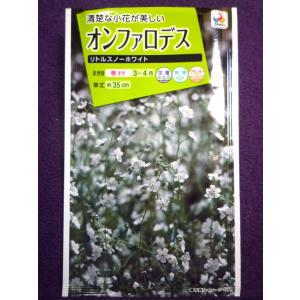 スノーホワイト花 種 種子 の商品一覧 花 ガーデニング 通販 Yahoo ショッピング