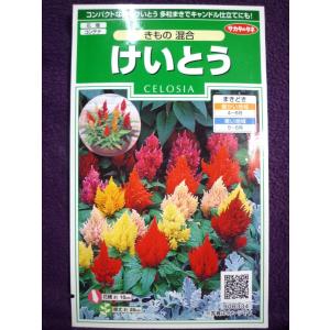 けいとうの商品一覧 通販 Yahoo ショッピング