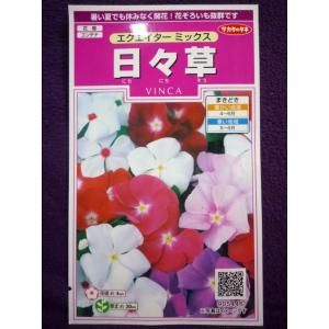 ★種子★処分★　日々草 エクエイター ミックス　サカタのタネ　23.10　◎花つき抜群で花色豊富♪　（ゆうパケット便可能）｜farmmikawa