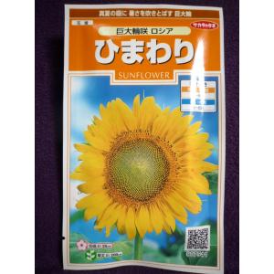 ★種子★処分★　ひまわり　巨大輪咲 ロシア　サカタのタネ　23.10　◎暑さを吹き飛ばす巨大輪♪　（ゆうパケット便可能）｜farmmikawa