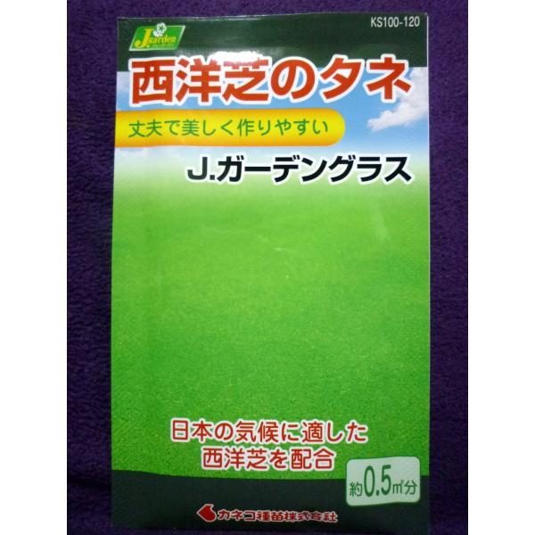 ★種子★処分★　西洋芝のタネ　Ｊ.ガーデングラス　カネコ種苗　23.11　◎日本の気候に適した西洋芝...