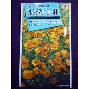 マリーゴールド 種子 緑肥 牧草の種 の商品一覧 種 種子 花 ガーデニング 通販 Yahoo ショッピング