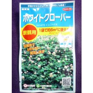 クローバータネの商品一覧 通販 Yahoo ショッピング