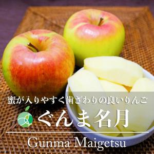 ぐんま名月　りんご　贈答用　約2kg　5-6玉　長野県産　フルーツ　ギフト　誕生日　プレゼント　バレンタイン