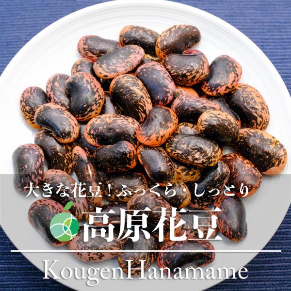 高原花豆　豆　2022年度産　約400g　長野県川上村産