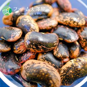 高原花豆 豆 2025年度産 約400g 長野県産の詳細画像2