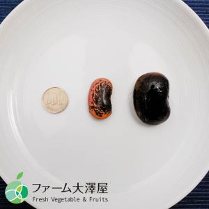 高原花豆 豆 2025年度産 約400g 長野県産の詳細画像4