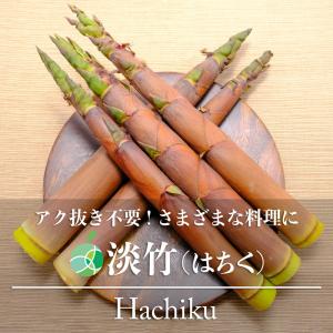 信州産筍「淡竹（ハチク）」3kg 発送は6月毎週金曜日（1週間前締切