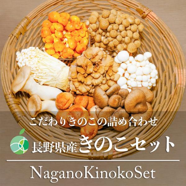 長野県産きのこセット　8種類　シイタケ、ヒラタケ、マイタケ、ブナシメジ、ブナピー、エリンギ、エノキ、...