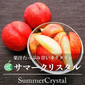 お中元　2023　フルーツ　サマークリスタル　ネクタリン　約2kg　10〜20玉　長野県産